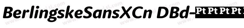BerlingskeSansXCn DBd字体转换